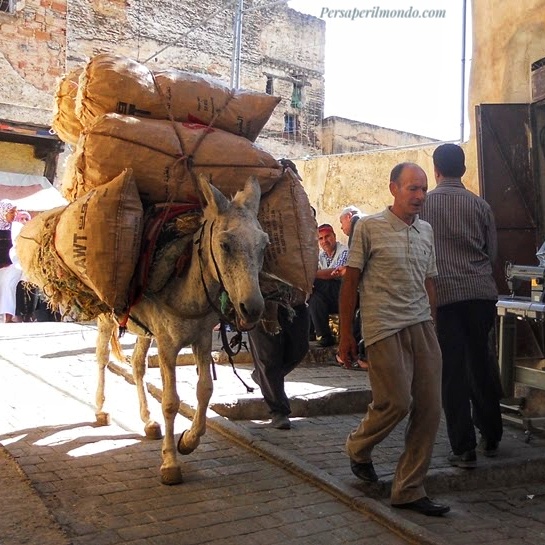 Trasporto sacchi a dorso di mulo nella medina di Fes