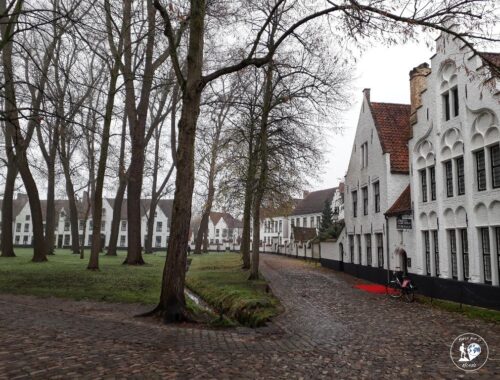 Cortile interno del Beghinaggio di Bruges con prato alberi e tipiche case bianche
